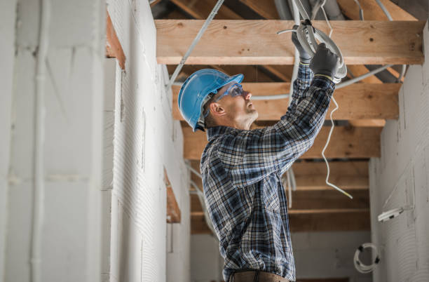 Best Electric Panel Repair  in Eleanor, WV